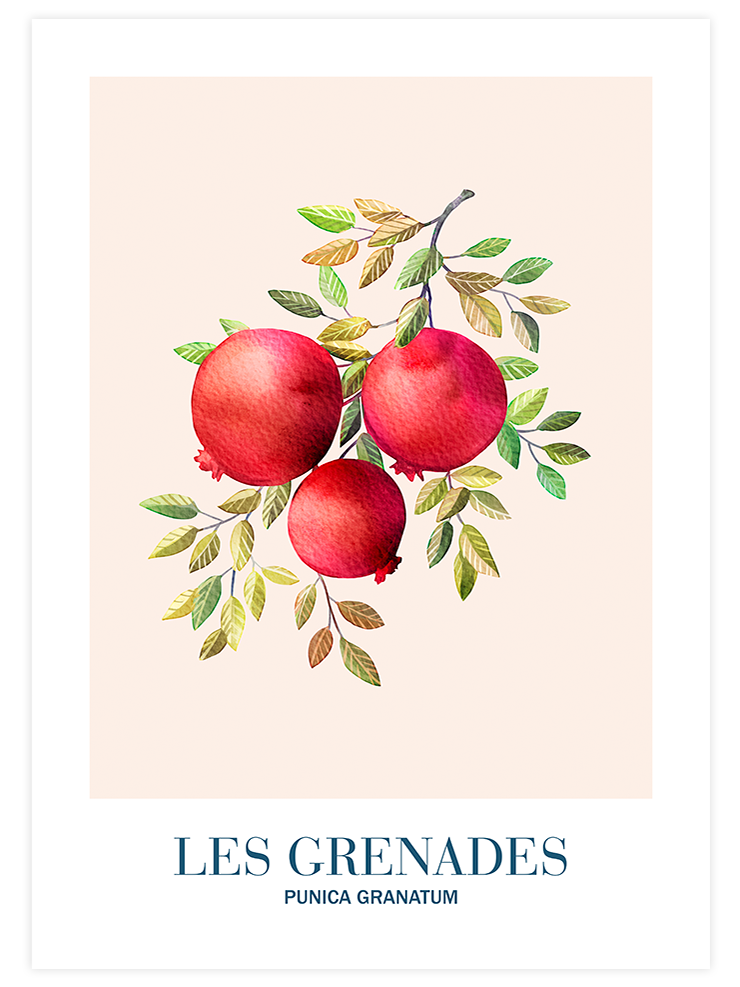 Les Grenades - Art Print