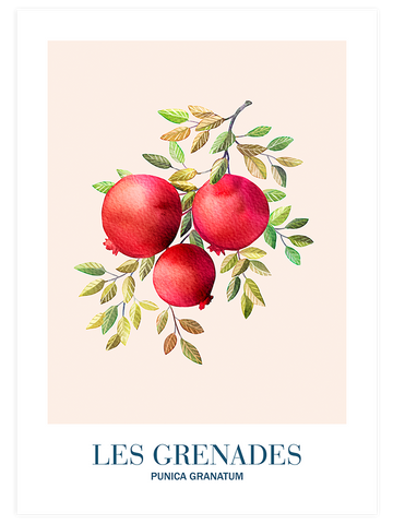 Les Grenades - Art Print
