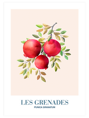 Les Grenades - Fine Art Poster