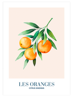 Les Oranges - Art Print