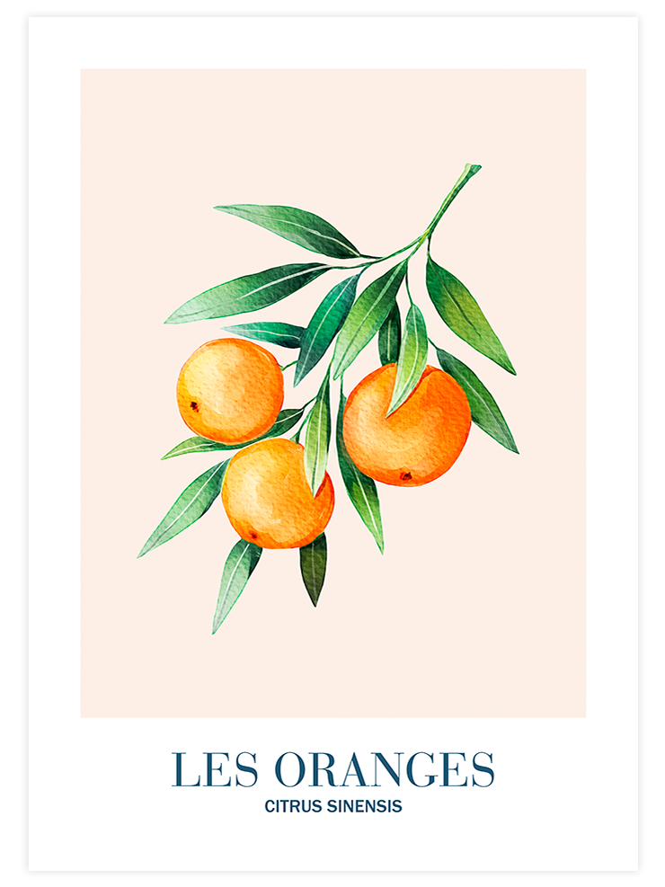 Les Oranges - Art Print