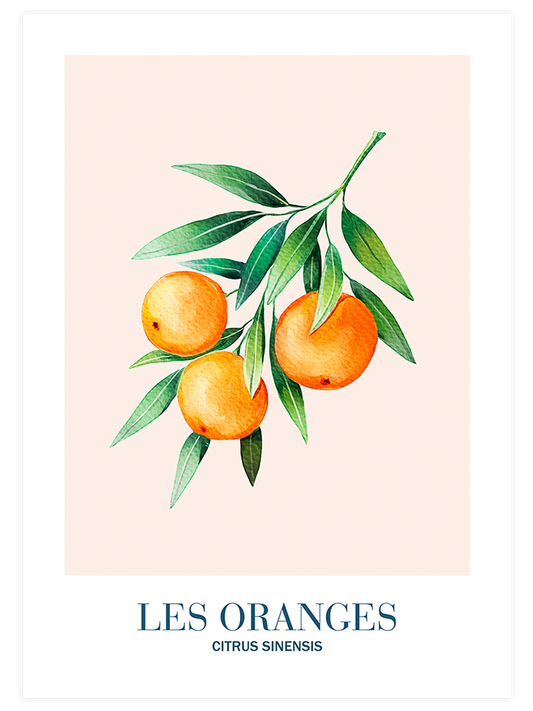 Les Oranges - Art Print