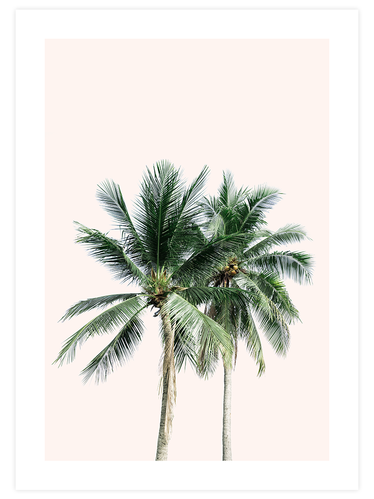 Les Palmiers - Art Print Ürün ana görseli