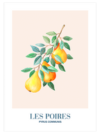 Les Poires - Art Print