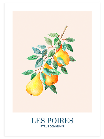 Les Poires - Art Print