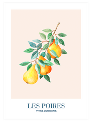 Les Poires - Fine Art Poster
