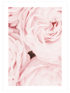 Les Roses - Art Print