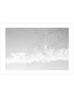 Like A Bird N2 - Art Print