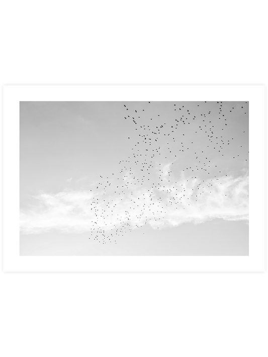 Like A Bird N2 Poster - Giclée Baskı