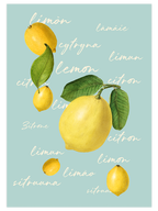 Limones - Art Print