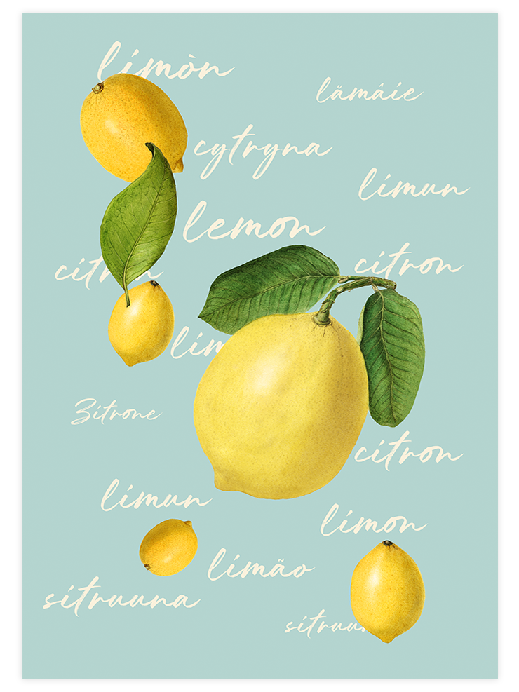 Limones - Art Print Mutfak Poster