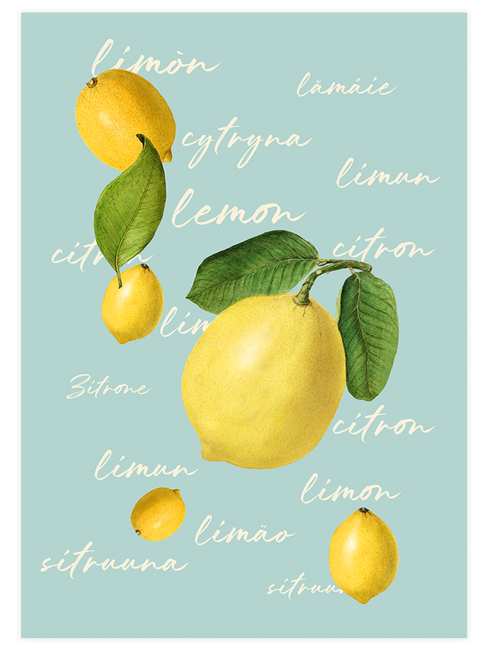 Limones - Art Print Mutfak Poster