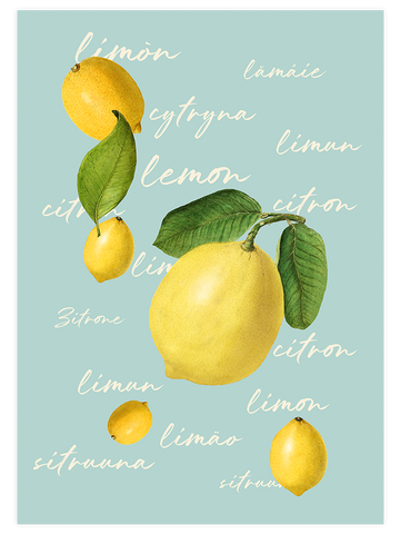 Limones - Art Print