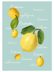 Citrus Power - Poster Seti Duo