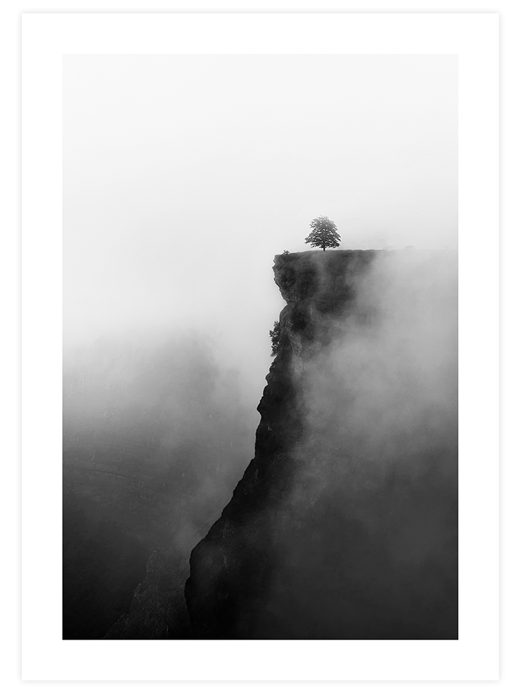 Lonely Tree - Art Print