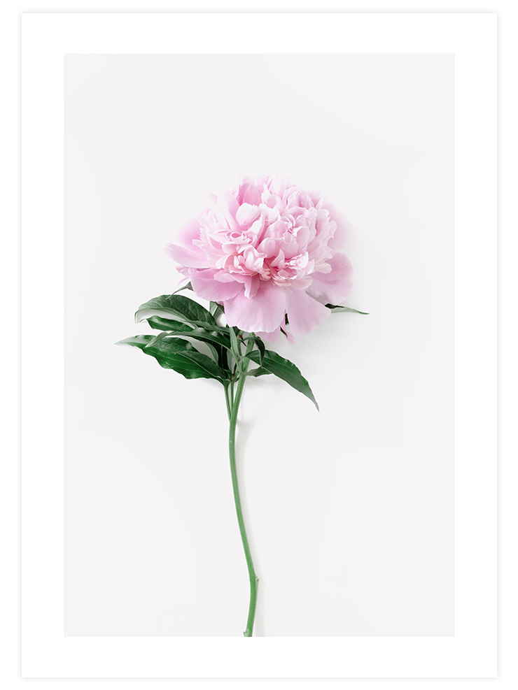 Ma Fleur Unique - Art Print Ürün ana görseli