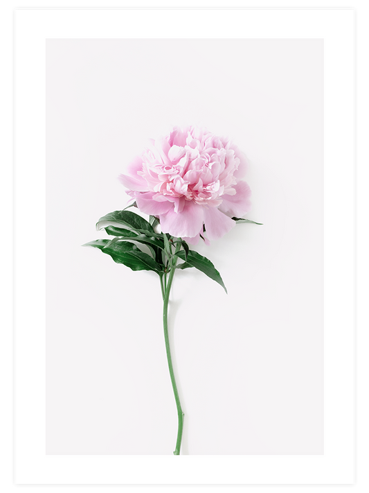 Ma Fleur Unique - Art Print