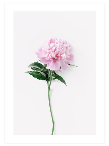 Ma Fleur Unique - Art Print