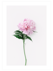 Ma Fleur Unique - Fine Art Poster