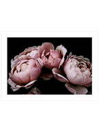 Makro Çiçek N2 - Art Print