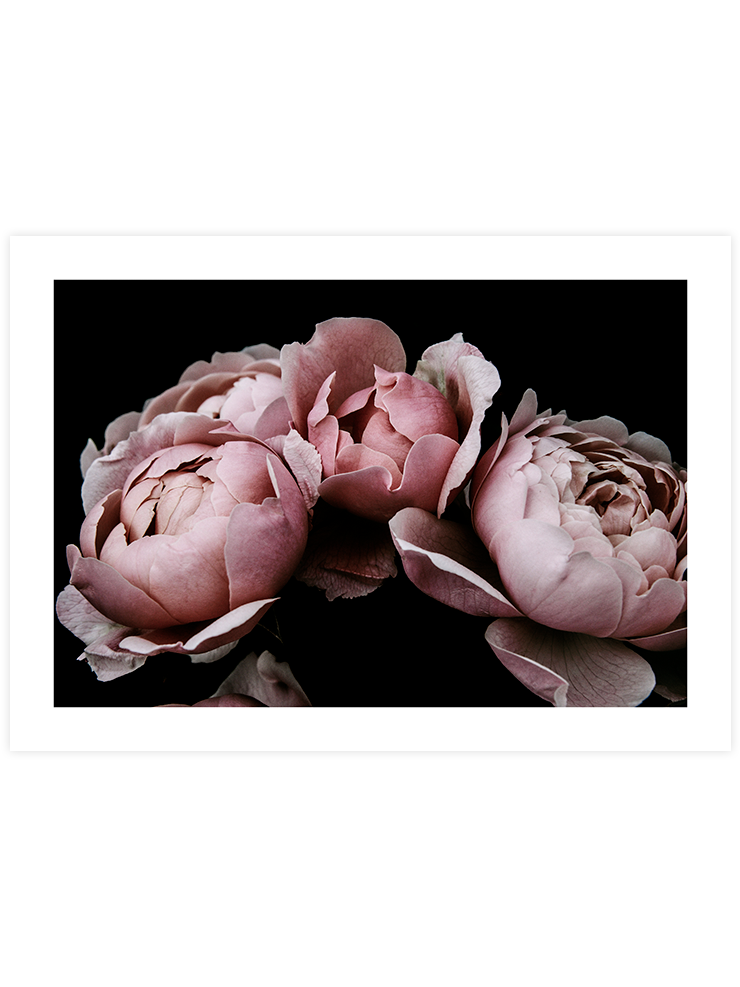 Makro Çiçek N2 - Art Print