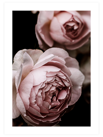 Makro Çiçek - Art Print