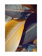 Makro Yaprak N2 - Art Print