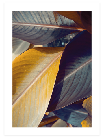 Makro Yaprak N2 - Art Print