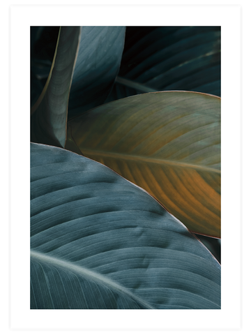 Makro Yaprak N1 - Art Print