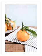 Mandalina - Art Print