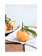 Mandalina - Fine Art Poster