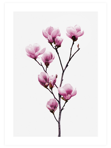 Manolya - Art Print