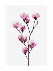 Manolya - Fine Art Poster