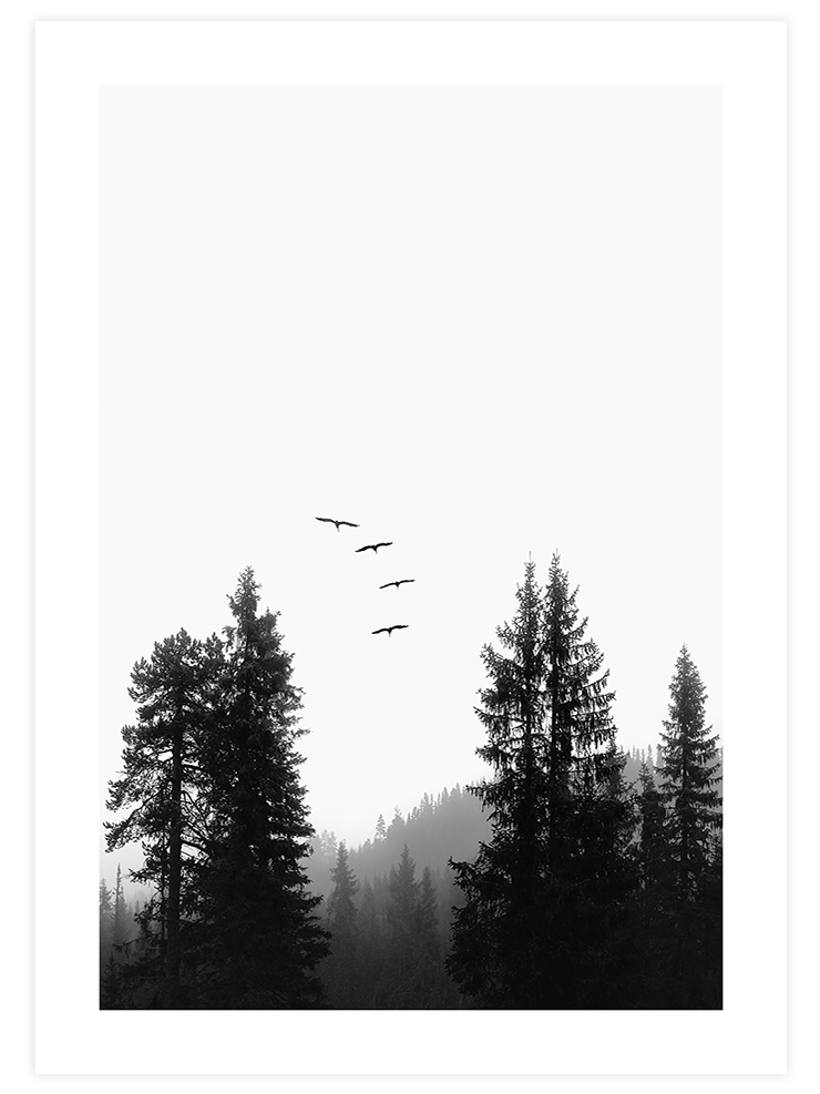 Manzara - Art Print Fotoğraflar Poster