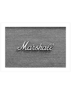 Marshall - Art Print