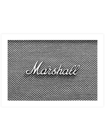 Marshall - Art Print