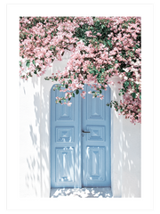 Mavi Kapı Ve Pembe Çiçekler - Fine Art Poster