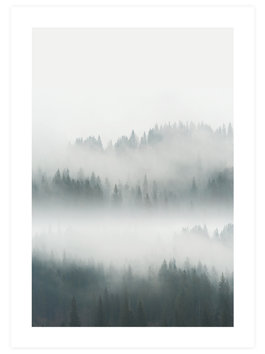 Mysterious Forest Poster - Giclée Baskı
