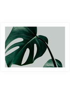 Monstera N2 - Art Print