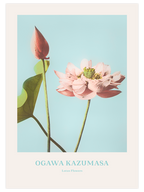 Ogawa Kazumasa Lotus Flowers - Art Print