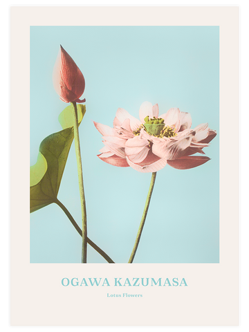Ogawa Kazumasa Lotus Flowers - Art Print