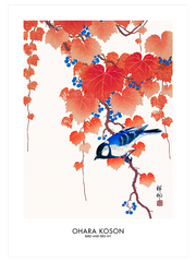 Ohara Koson Bird And Red Ivy - Fine Art Poster