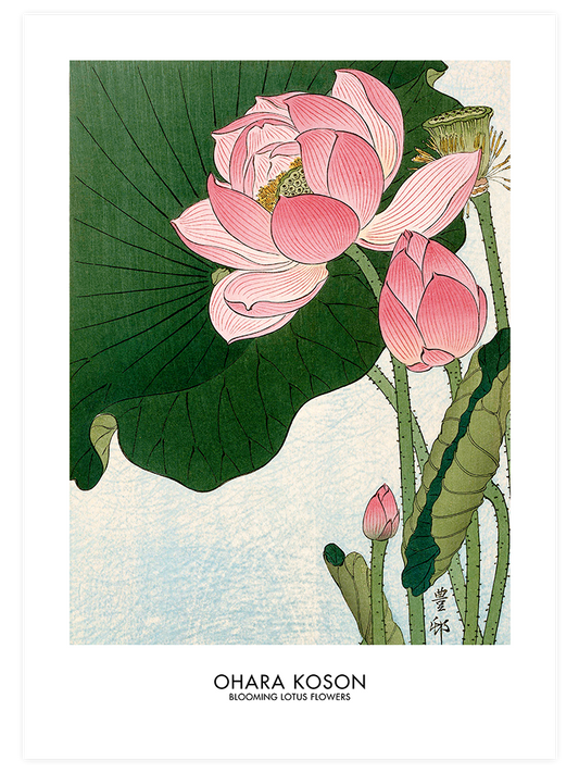 Ohara Koson Blooming Lotus Flowers Poster - Giclée Baskı