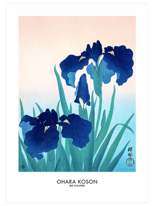 Ohara Koson Iris Flowers - Fine Art Poster