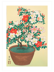Ohara Koson N13 - Fine Art Poster