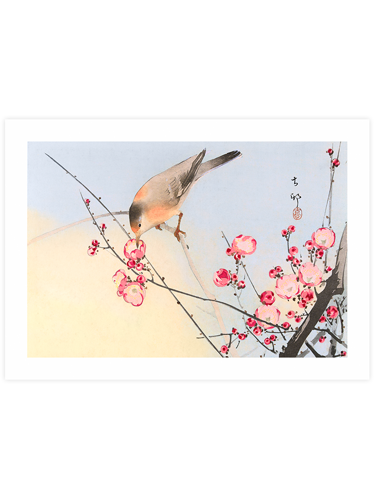 Ohara Koson N15 - Art Print Ürün ana görseli
