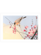 Ohara Koson N15 - Art Print