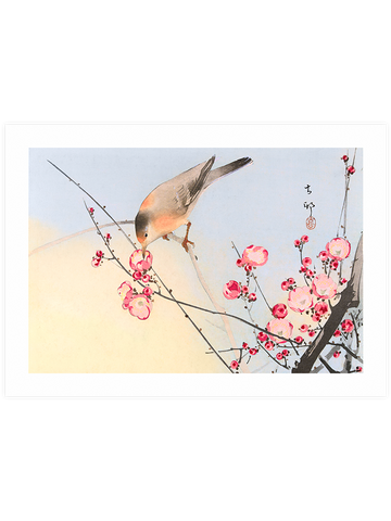 Ohara Koson N15 - Art Print