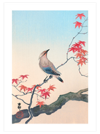 Ohara Koson N18 - Art Print