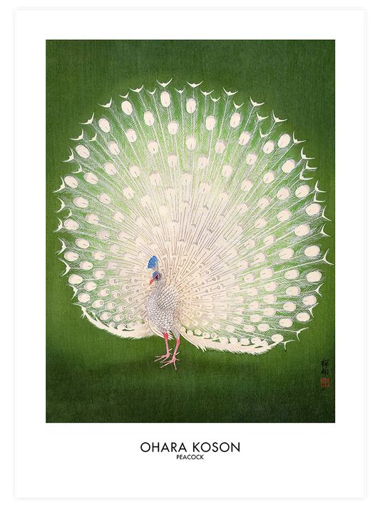 Ohara Koson Peacock - Fine Art Poster